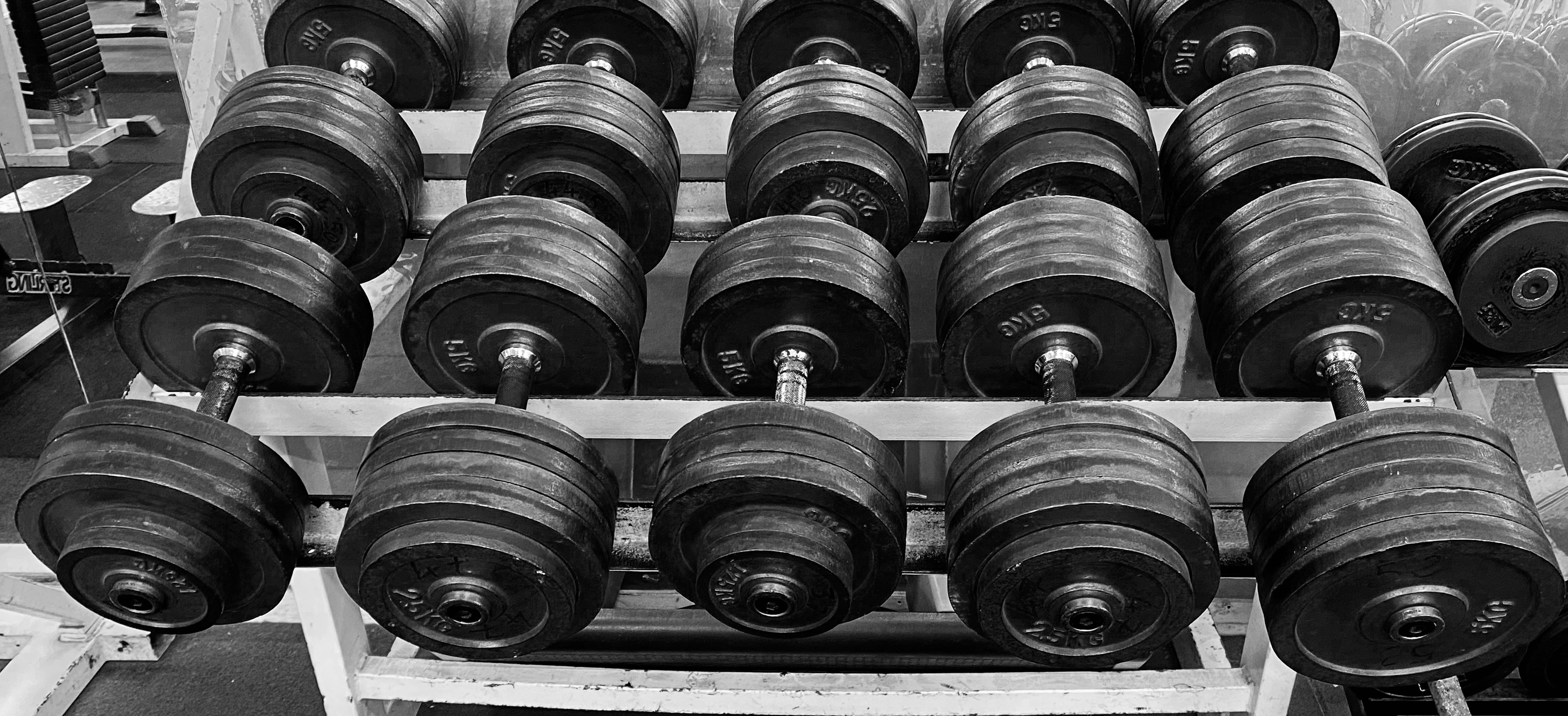 Haltères rangées sur leur rack